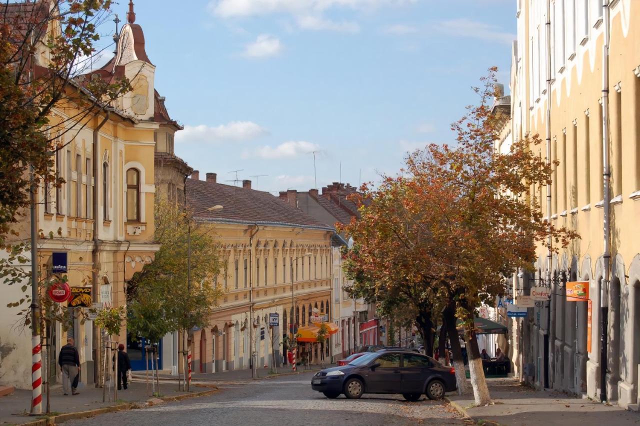Butterfly Apartment-Hidden Gem In The Heart Of Târgu-Mureş Exterior foto